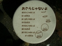 画像はイメージです（sumiisanさん撮影、Flickrより）