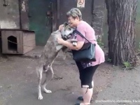 自宅から犬を盗まれて2年後、SNSにより奇跡の再会（ウクライナ）