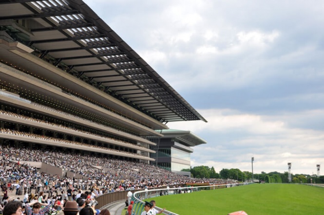 競馬の祭典・日本ダービー