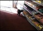 コンビニからチョコを連日盗んでいたのは、まさかの〇〇だった…