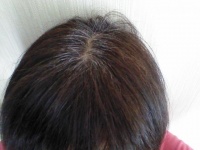 1本見つけたら30本はある？（写真はイメージ）