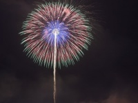 なぜ中止になったのか（画像はイメージ）