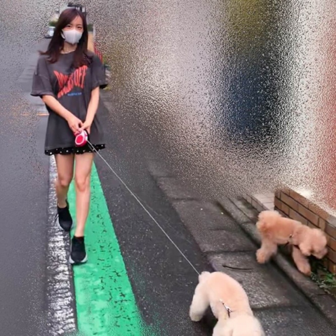 板野友美 愛犬との散歩写真アップも猛ツッコミ 誰が撮ってるの 1ページ目 デイリーニュースオンライン