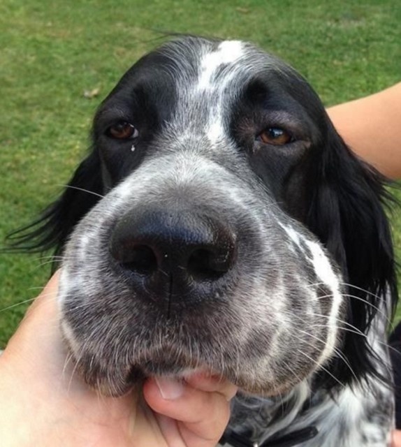 スクリーンショット 2016-04-24 19.59.15