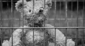 Dream Art Laboratoryのプレスリリース画像