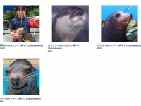 飼育員への餌、1000円（画像は専用サイトより）