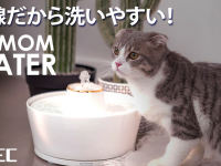 株式会社ヤベツジャパンのプレスリリース画像