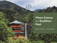 Meditopiaのプレスリリース画像
