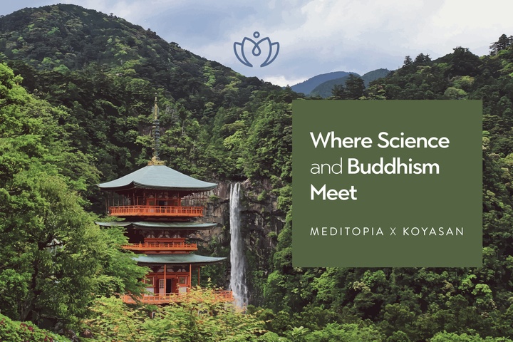 Meditopiaのプレスリリース画像