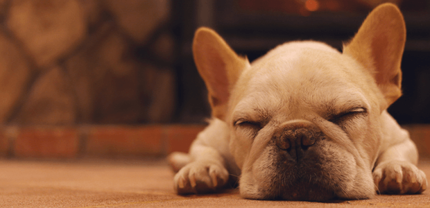 「Doctors Me（ドクターズミー）」コラム画像