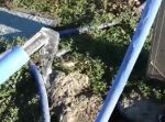 快感ッッ！　ホースからニュルっと出てくる氷が見てて気持ちイイ！