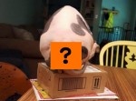 猫のお尻に“恐ろしいもの”が…　何かの呪いか？