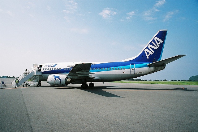 NH843 (ANA B737-54K JA302K) @ OIM/RJTO