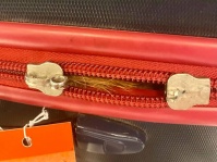 スーツケースに忍び込み、空港の手荷物検査で発見された猫