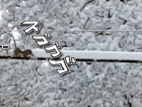 自分の道は自分で切り開くんだぜ！リス、除雪マシーンと化す。