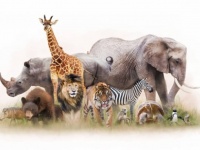 冷凍動物園。再び蘇る日のために動物たちの細胞組織を低温保存する施設