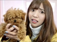 ヴァンゆん公式ユーチューブチャンネルより https://www.youtube.com/channel/UCftut9Z6S48igRNSQRDpCCg