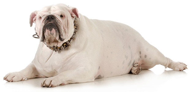 「Doctors Me（ドクターズミー）」コラム画像