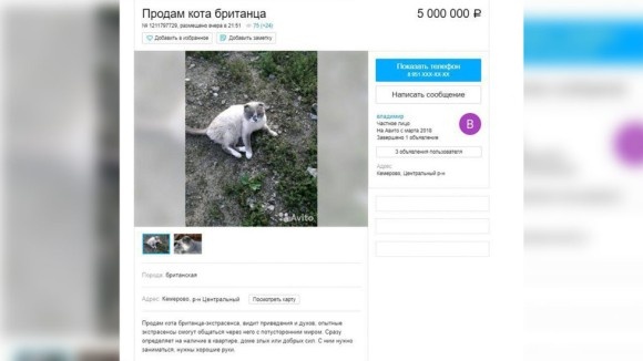 4ee5d1444748ab80d82fa7b60da9aa42__980x_e