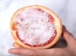洗剤を使いたくない人必見！　あの二つの食品で掃除できちゃうよー！