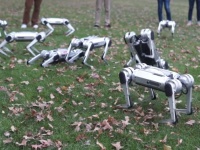 未来のドッグランってこんな感じ？犬型ロボットが9台で芝生の上を駆け回るとかいうSF的光景が展開される