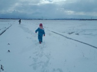 「入院中のお母さんに会いたい」　祖父母宅を抜け出した幼い兄弟は、見知らぬ人の車に拾われて