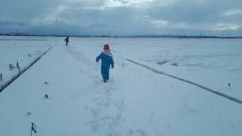 「入院中のお母さんに会いたい」　祖父母宅を抜け出した幼い兄弟は、見知らぬ人の車に拾われて