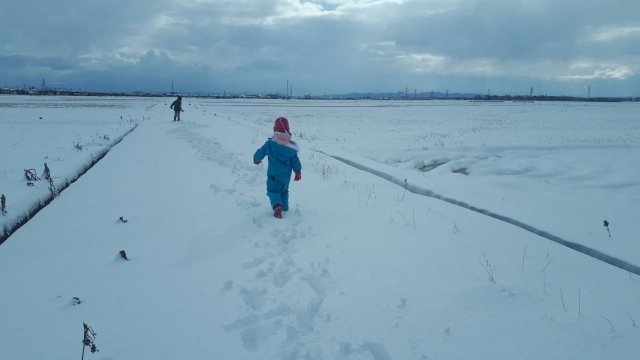 「入院中のお母さんに会いたい」　祖父母宅を抜け出した幼い兄弟は、見知らぬ人の車に拾われて