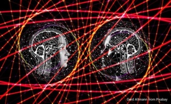 脳の中には意識の鍵を握る2つのネットワークが存在することが判明（米研究）
