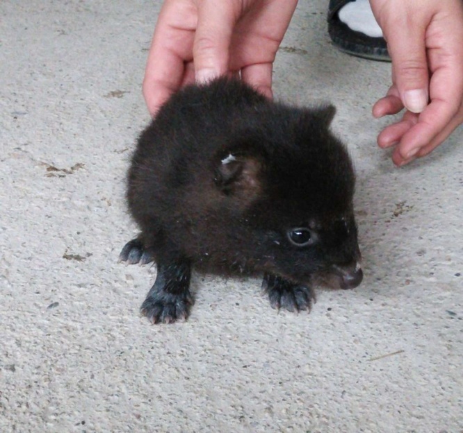 （写真はみなみなみなさん提供）