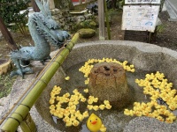 いっぱいいる（画像は粟田神社公式ツイッターより）