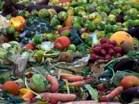 野菜や果物などの食品廃棄物からコンクリートよりも強くしかも食べられる素材が開発される（日本研究）