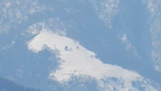 神奈川県の山に現れる〝巨大白馬〟に5000人驚がく　2026年〝午年〟は出会えるか！？