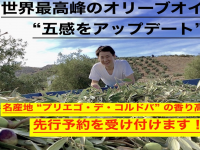 株式会社ウーブのプレスリリース画像