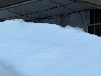 これはおいしそう...　あまりにもご飯に合いそうな〝積雪〟が越後湯沢で発見される