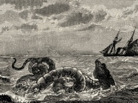 伝説のUMA「シーサーペント」の正体はクジラのいちもつだったという説