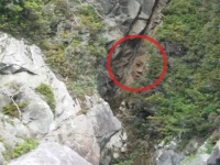 自然のいたずらか？人工物か？カナダ、リークス島の人面岩の謎