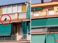 距離感の取り方が絶妙！5階のベランダの外に出てしまった犬を警察官がうまく救出する瞬間の映像（スペイン）