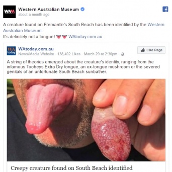オーストラリアで人間の舌そっくりの生き物を発見！