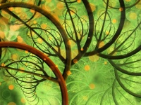 6度目の大量絶滅により驚くほどの速さで生命の樹が刈り取られていると科学者が警告