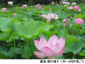 定光寺まで続く長い階段