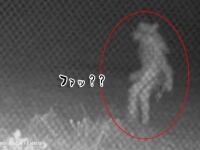 チュパカブラ？狼男？深夜の動物園に現れた二足歩行の謎生物