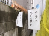 秋野ひろ（＠16_akino）さんのツイートより
