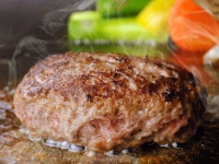 東京レストランツファクトリー株式会社/鎌倉グリル 洋食ビストロのプレスリリース画像