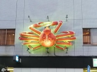 何だこれは...（画像はwakawakasun（＠wakawak85047673