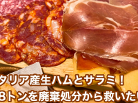 株式会社マイウッドのプレスリリース画像