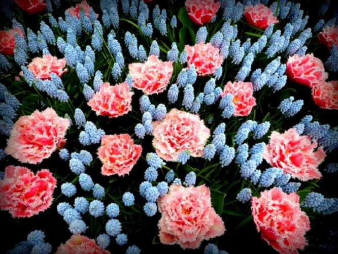 P1040135
