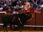 【逆襲】闘牛士のお尻がタイヘンなことに！