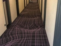 歩くのが怖すぎる！ドイツのホテルに敷かれた錯視柄のカーペットにネットがくらくら