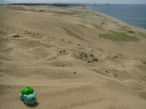 Bulbasaur in Tottori 4 (Tottori Sand Dune)